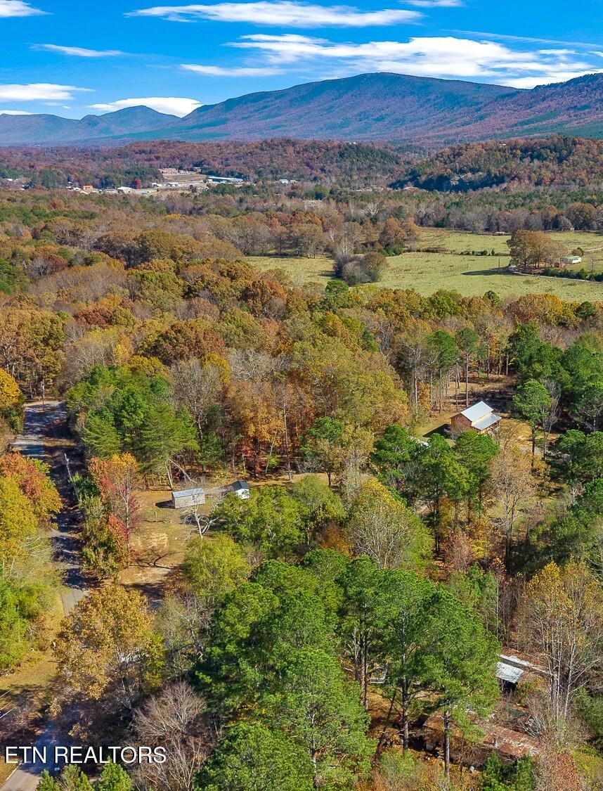232 Sweeney Road Benton TN 37307