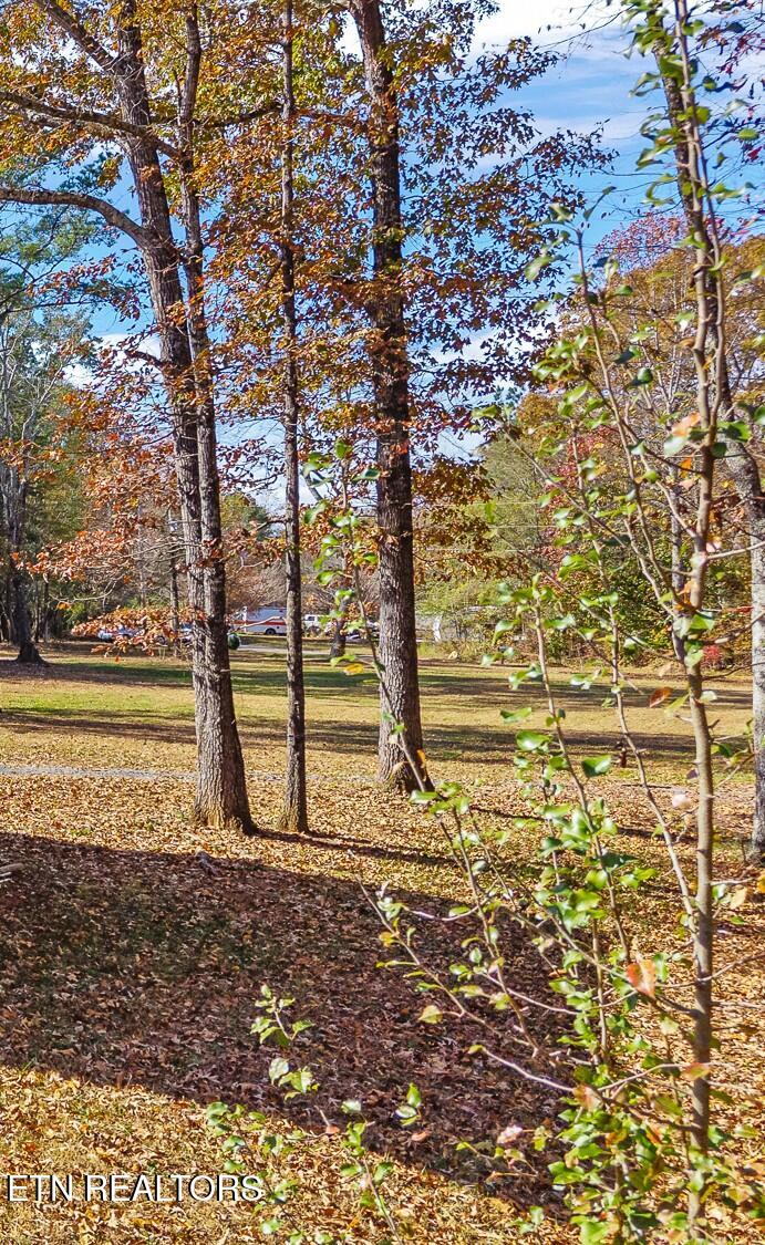 232 Sweeney Road Benton TN 37307