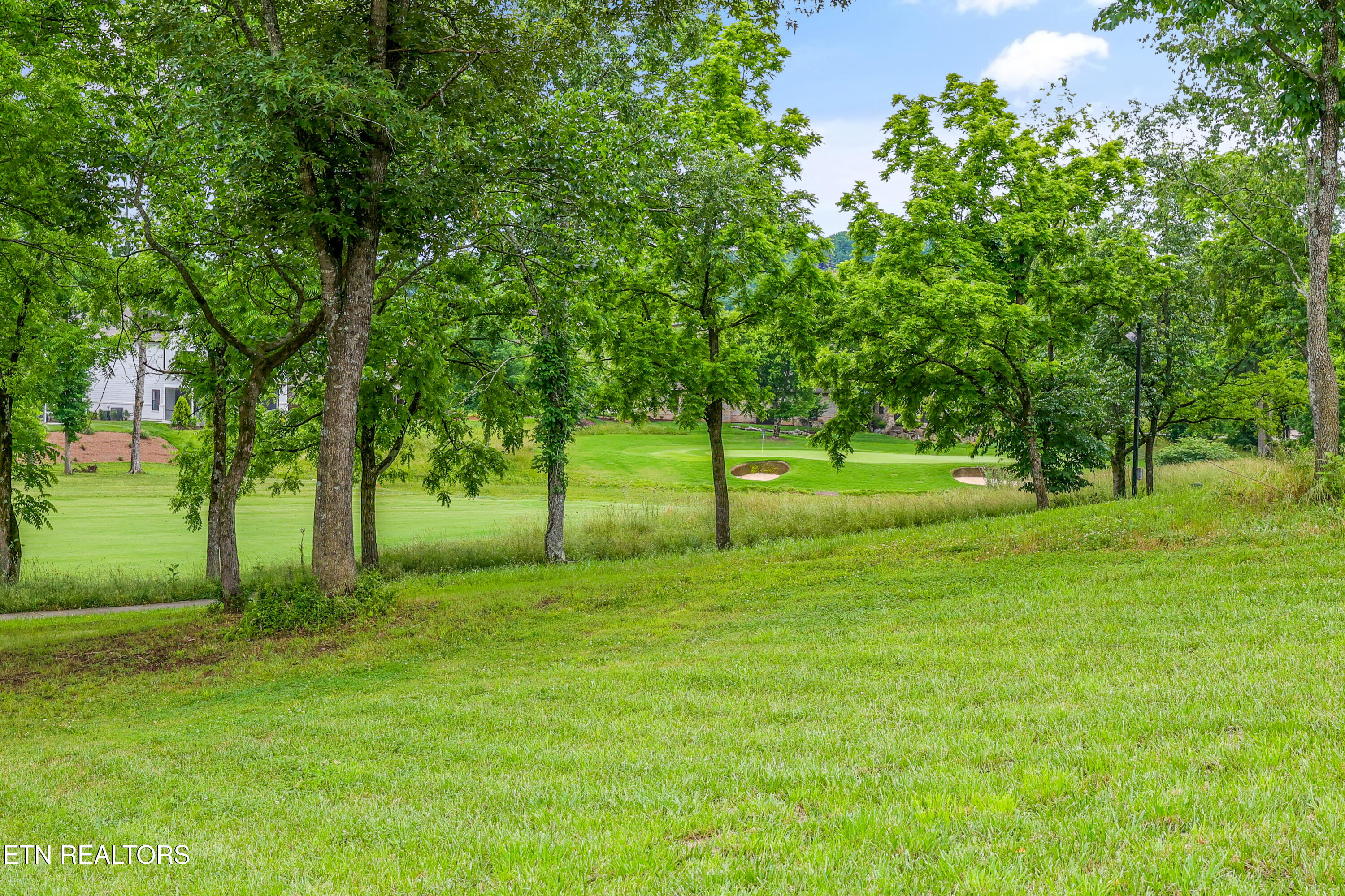 709 Mockingbird Lane Loudon TN 37774