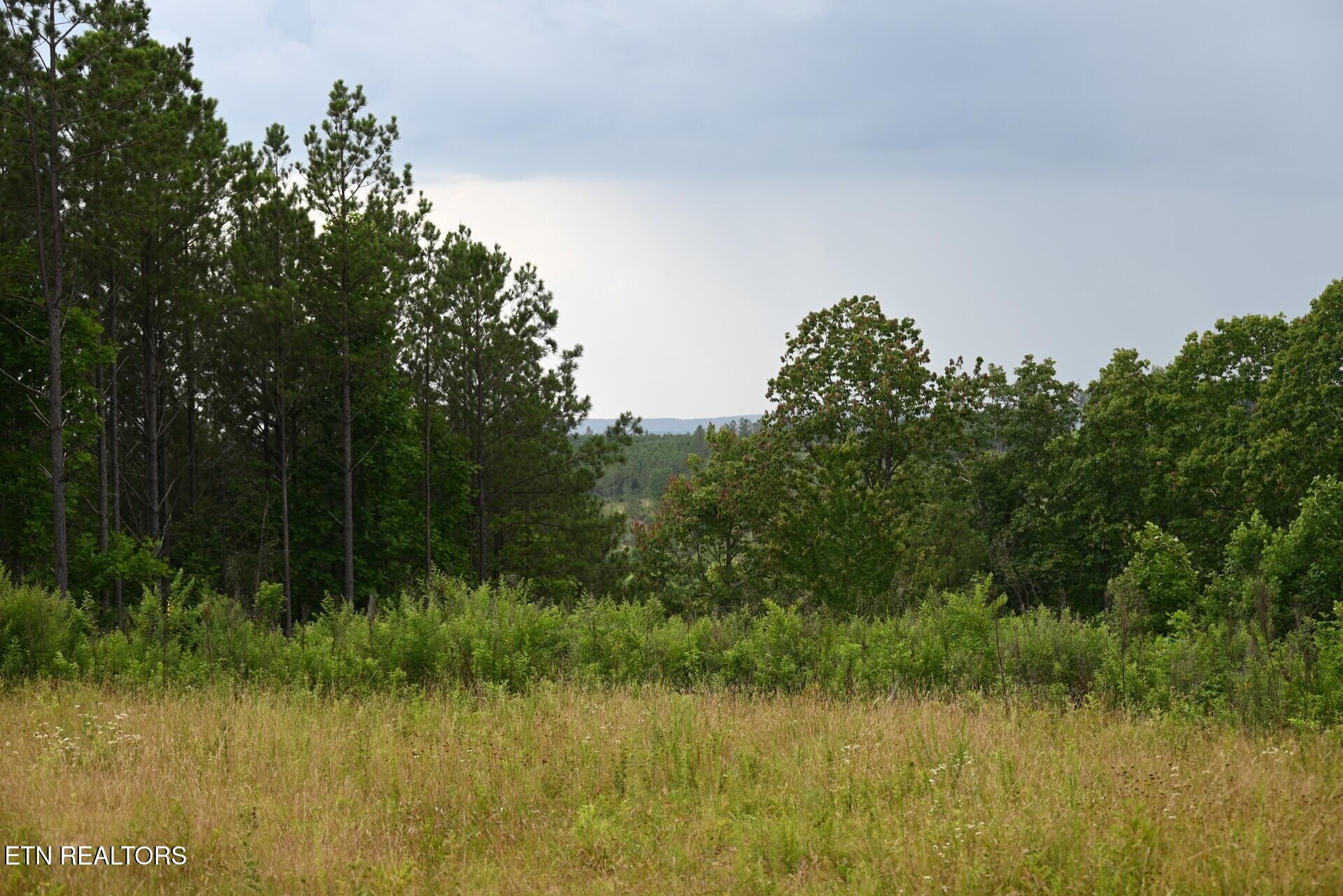 1508 Thomas Springs Road Crossville TN 38572