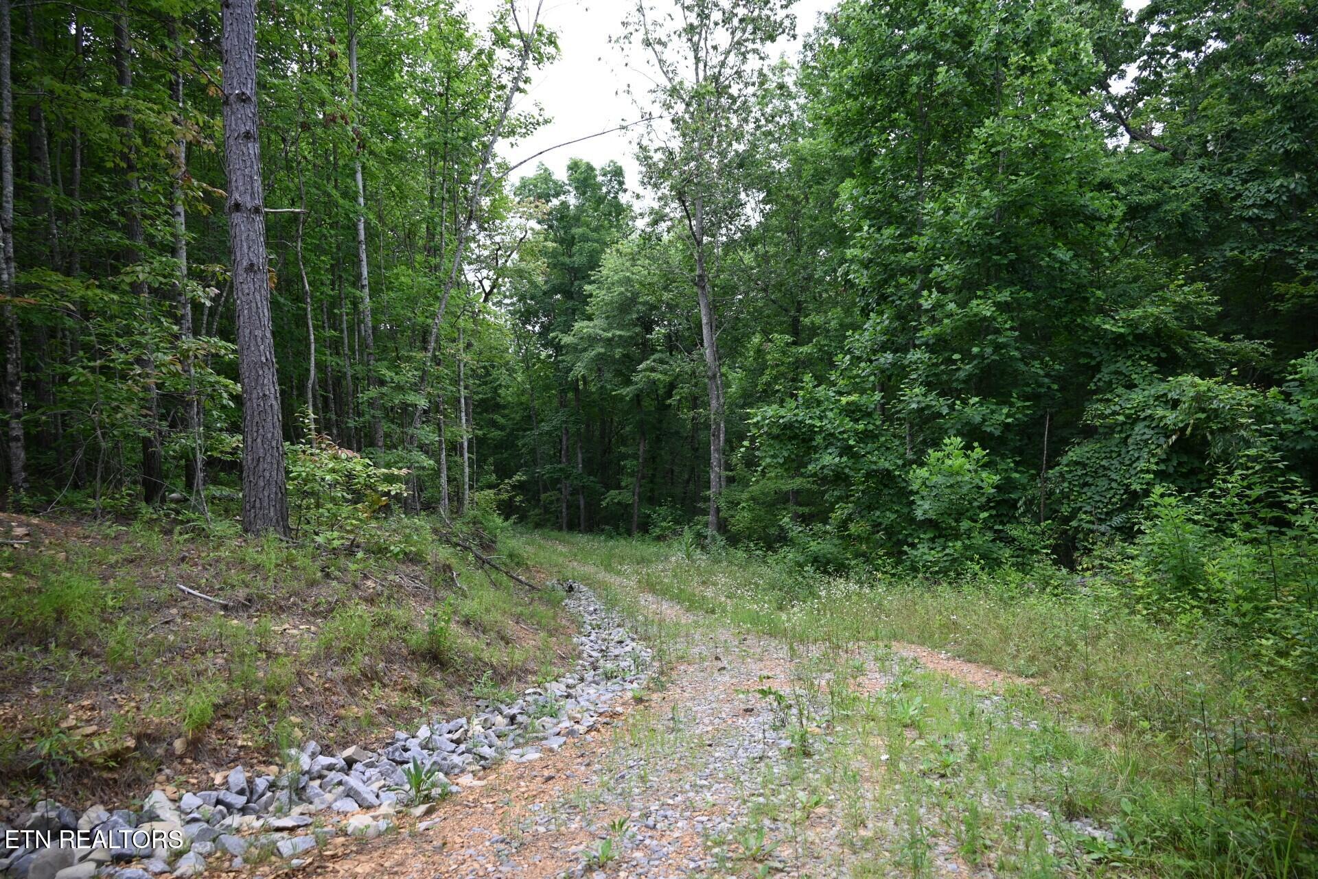 1508 Thomas Springs Road Crossville TN 38572