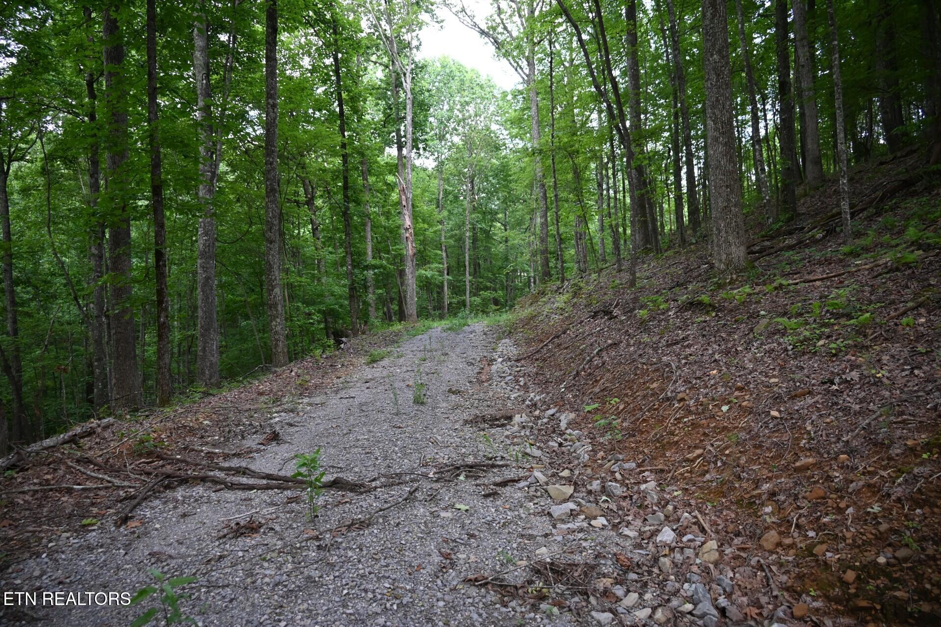 1508 Thomas Springs Road Crossville TN 38572