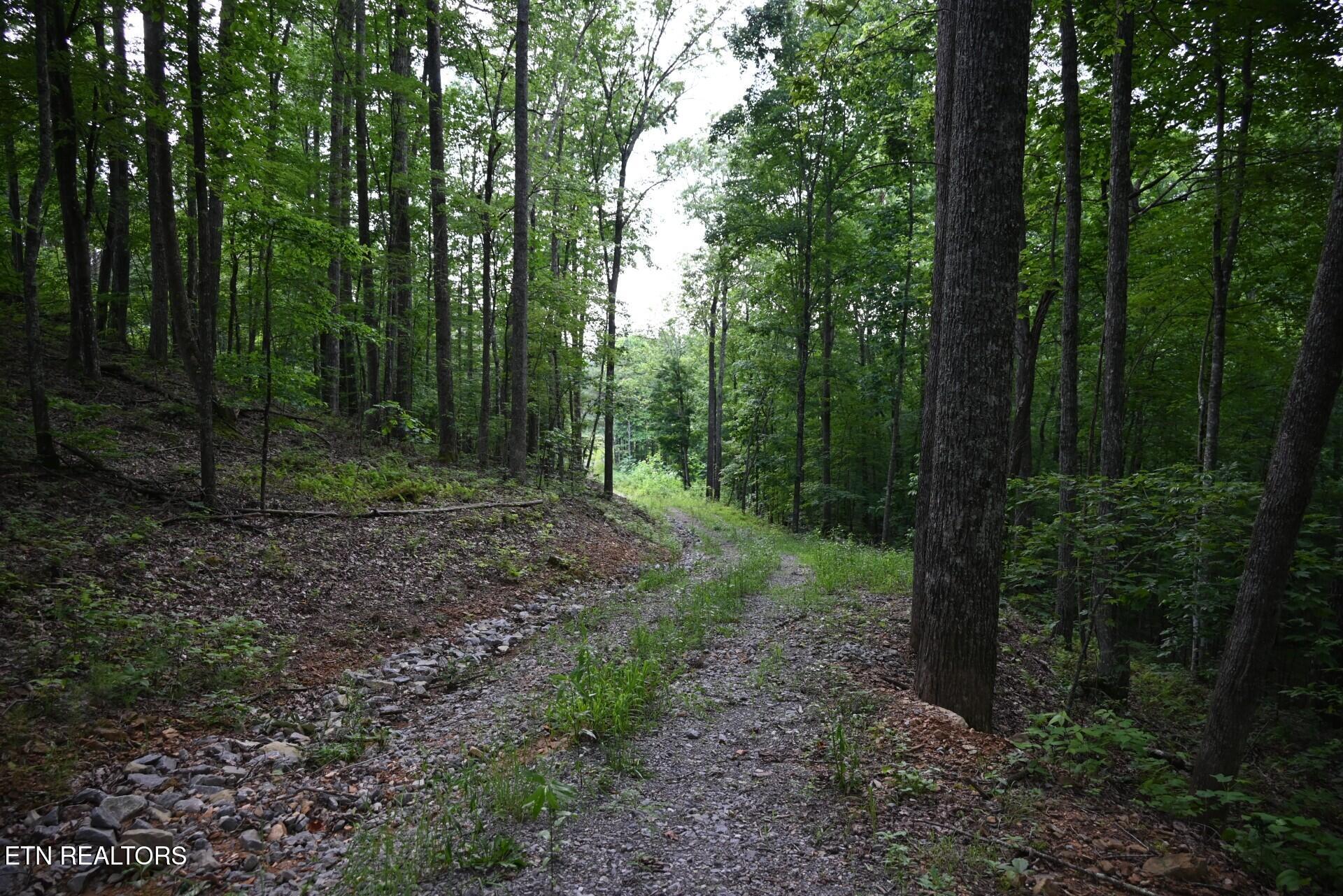 1508 Thomas Springs Road Crossville TN 38572