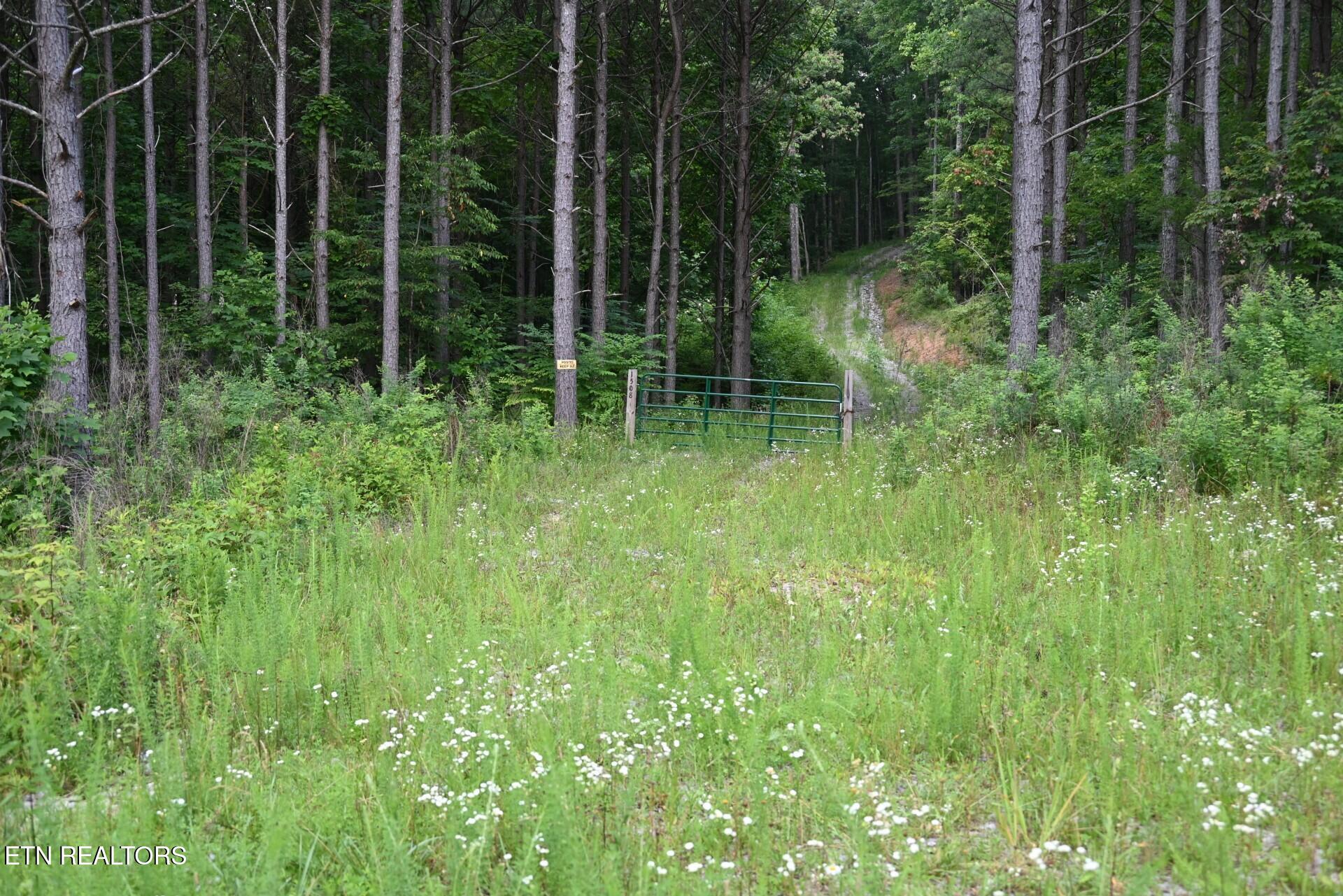 1508 Thomas Springs Road Crossville TN 38572