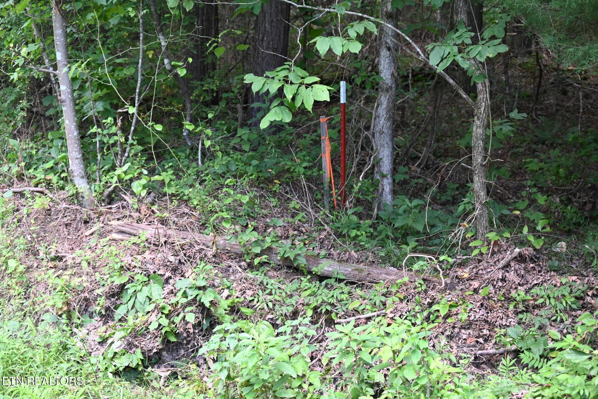 1508 Thomas Springs Road Crossville TN 38572