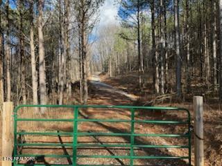 1508 Thomas Springs Road Crossville TN 38572
