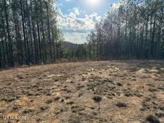 1508 Thomas Springs Road Crossville TN 38572