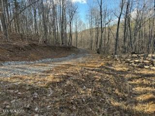 1508 Thomas Springs Road Crossville TN 38572
