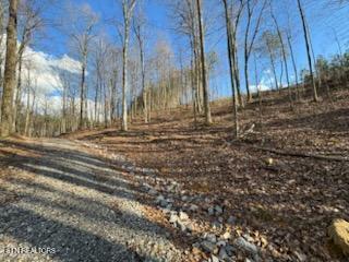 1508 Thomas Springs Road Crossville TN 38572