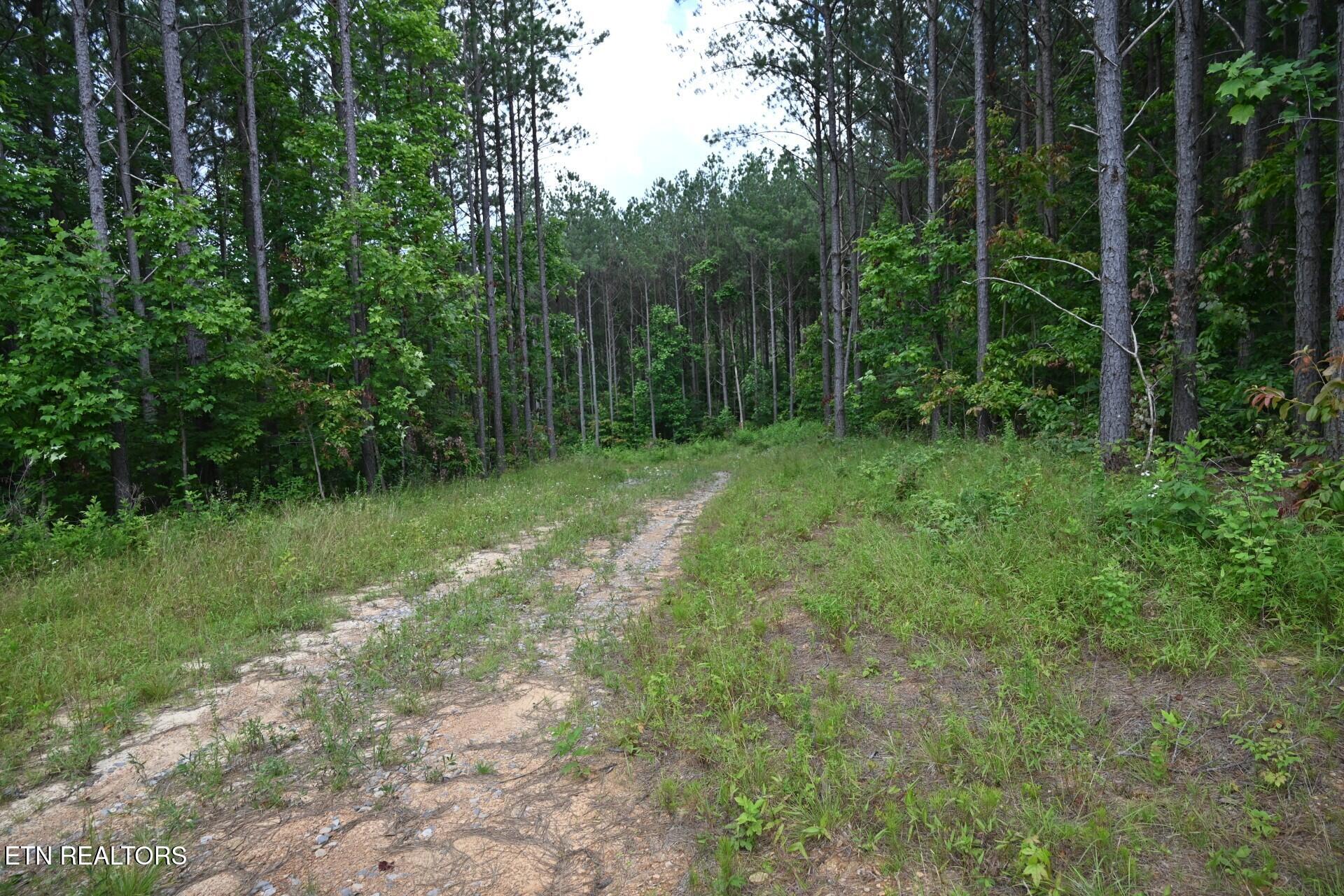 1508 Thomas Springs Road Crossville TN 38572