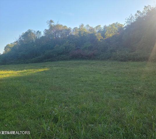Lot 8 Holston Shores Drive Rutledge TN 37861