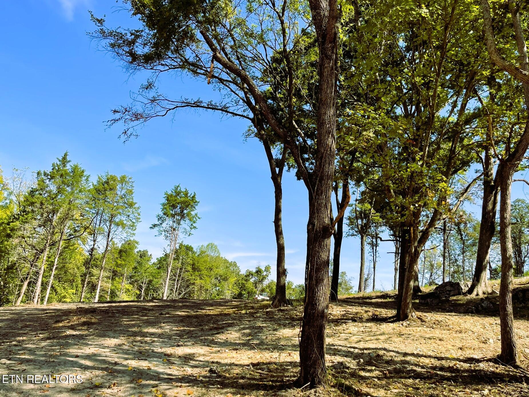 Williams Bend Road Knoxville TN 37932