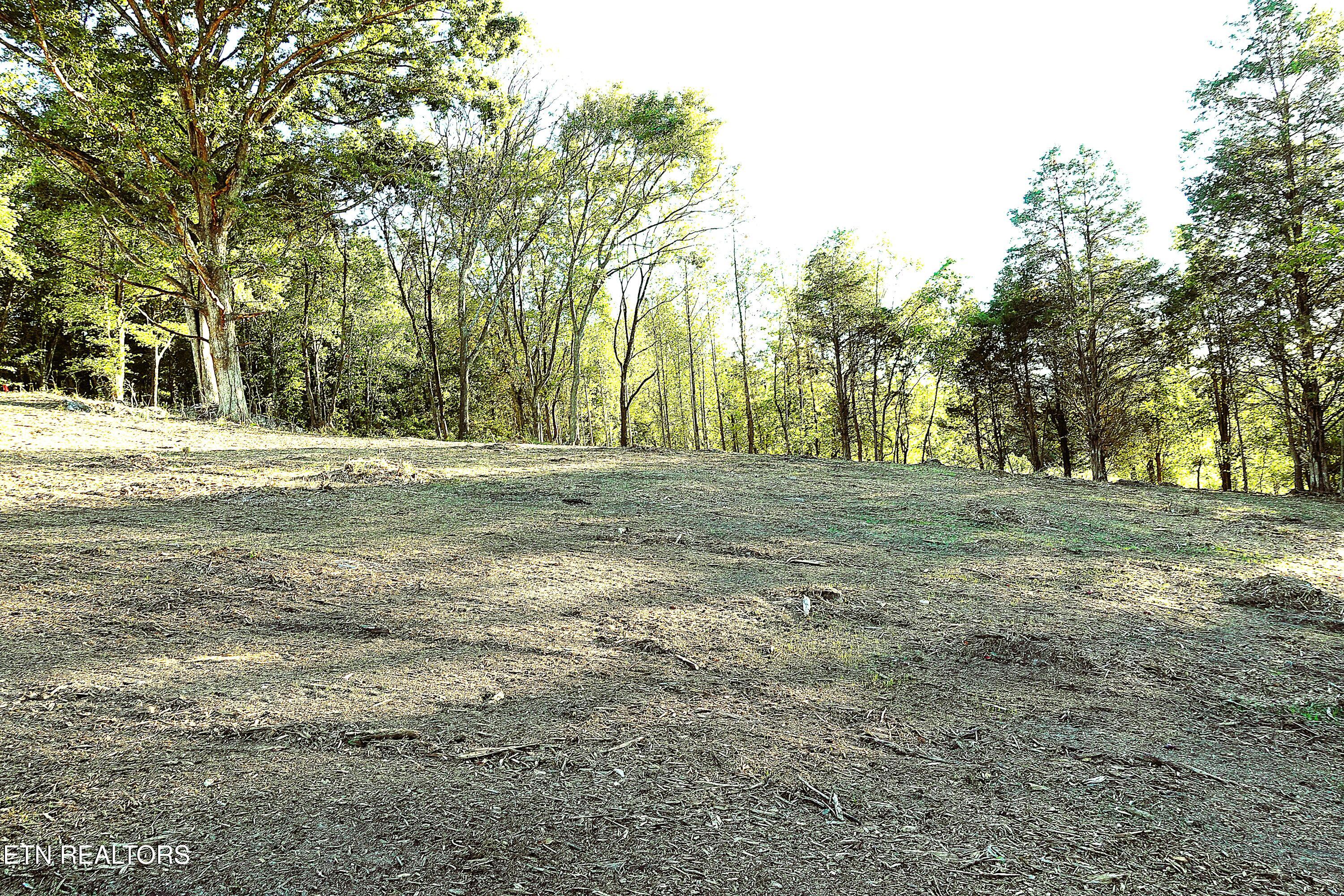 Williams Bend Road Knoxville TN 37932