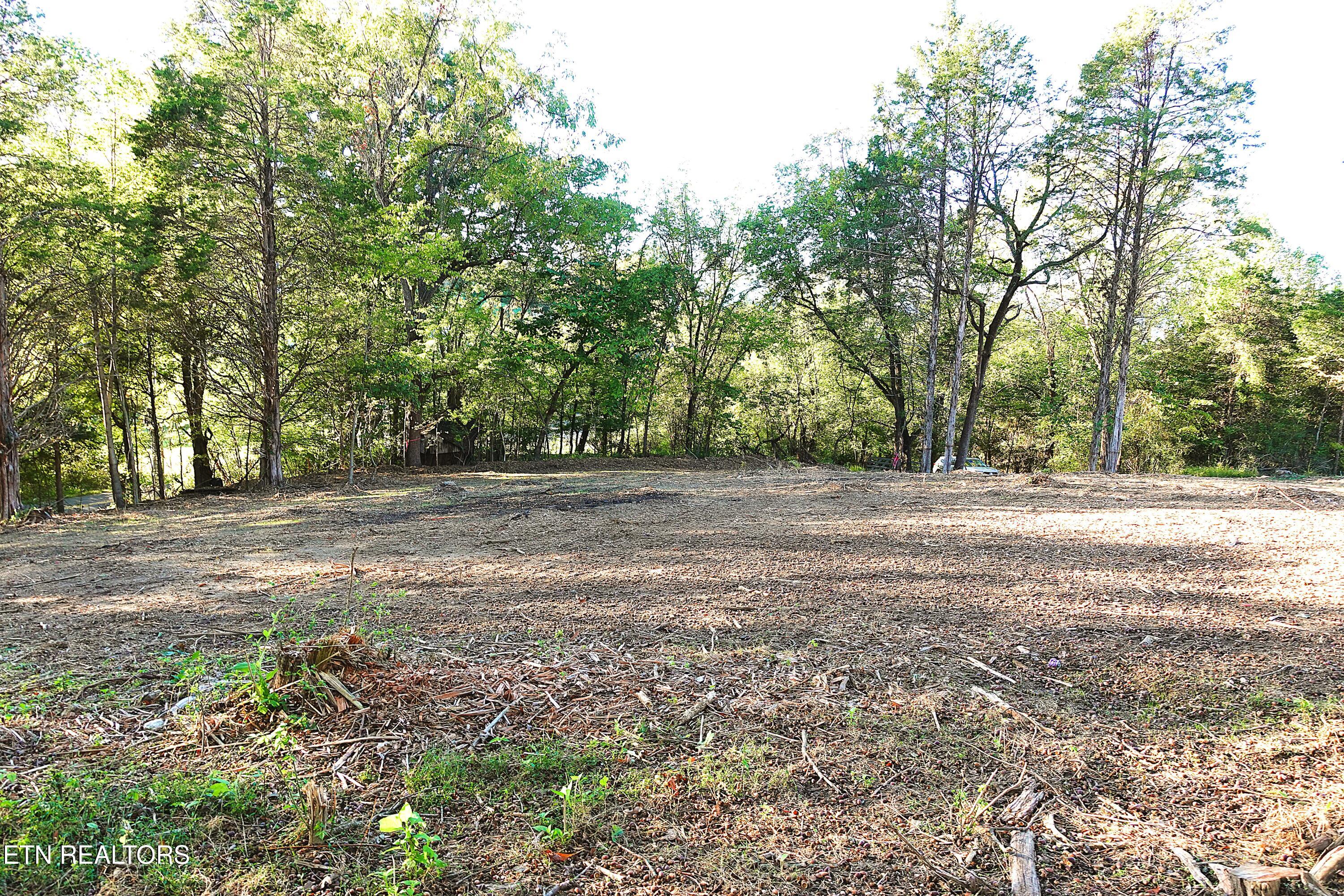 Williams Bend Road Knoxville TN 37932