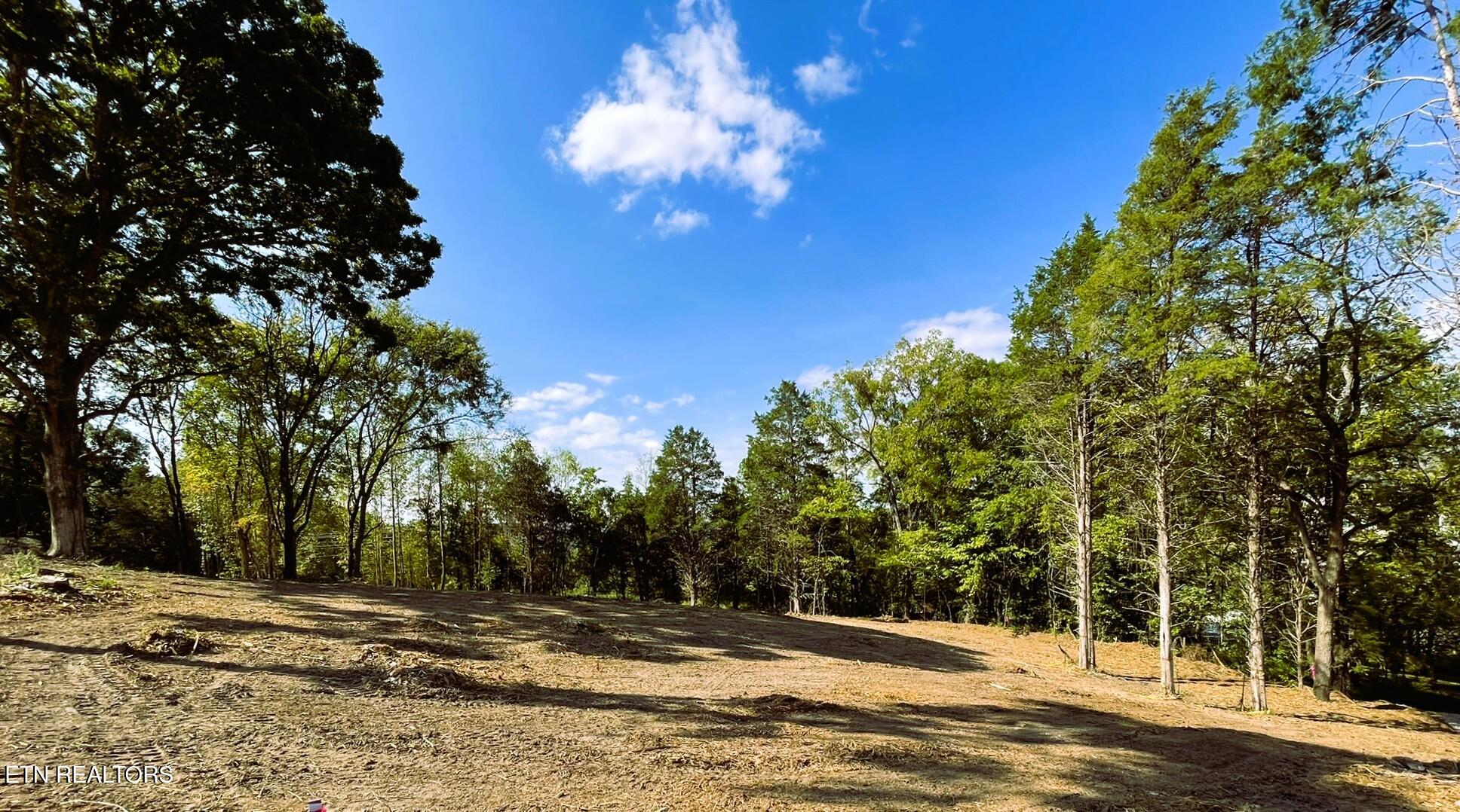 Williams Bend Road Knoxville TN 37932