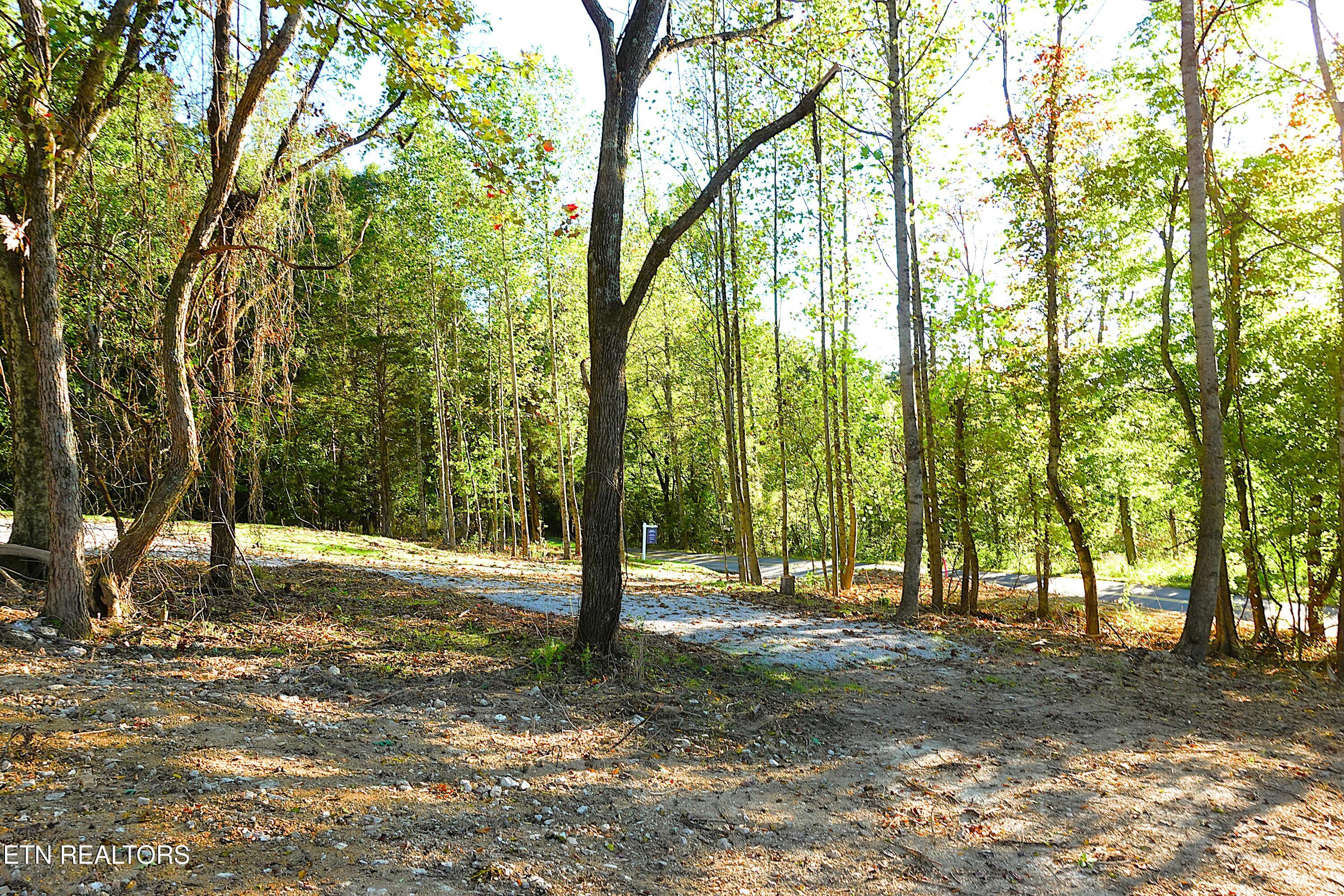Williams Bend Road Knoxville TN 37932
