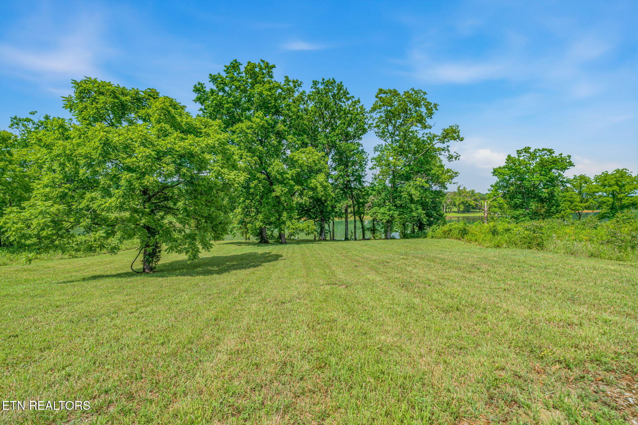 Waterfront Knoll Sharps Chapel TN 37866