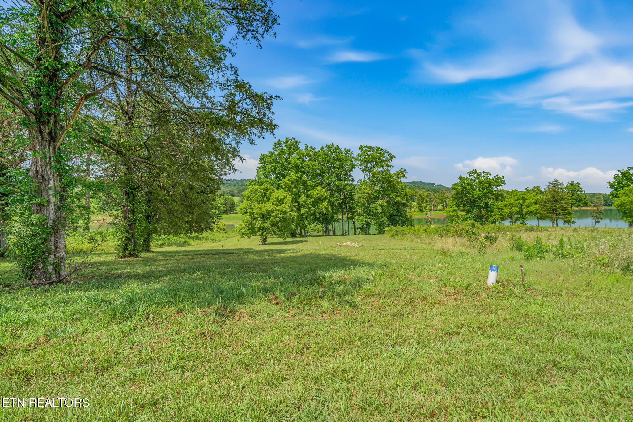 Waterfront Knoll Sharps Chapel TN 37866
