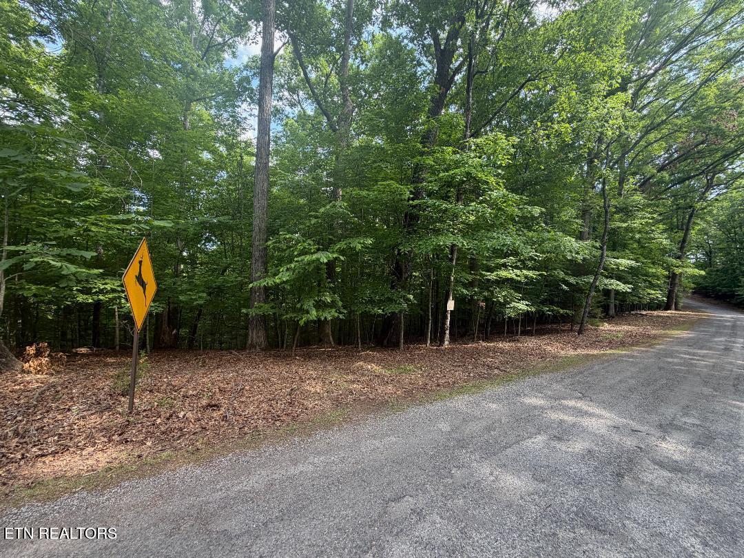 Beechwood Drive Dandridge TN 37725
