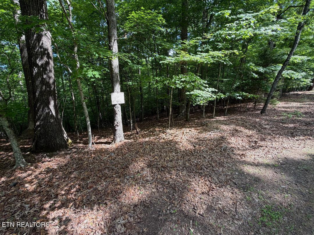 Beechwood Drive Dandridge TN 37725
