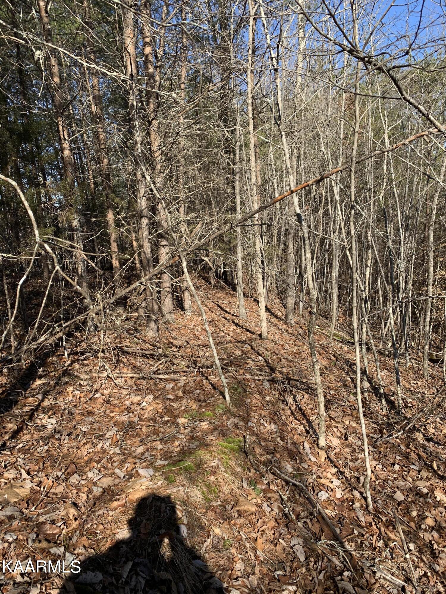 Lot 83 Ridgecrest Road New Tazewell TN 37825