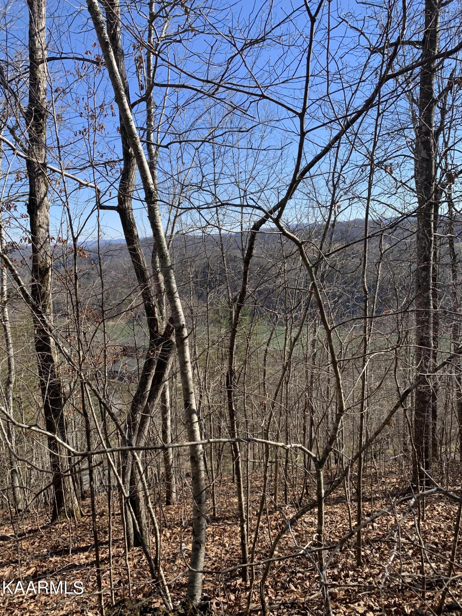 Lot 83 Ridgecrest Road New Tazewell TN 37825