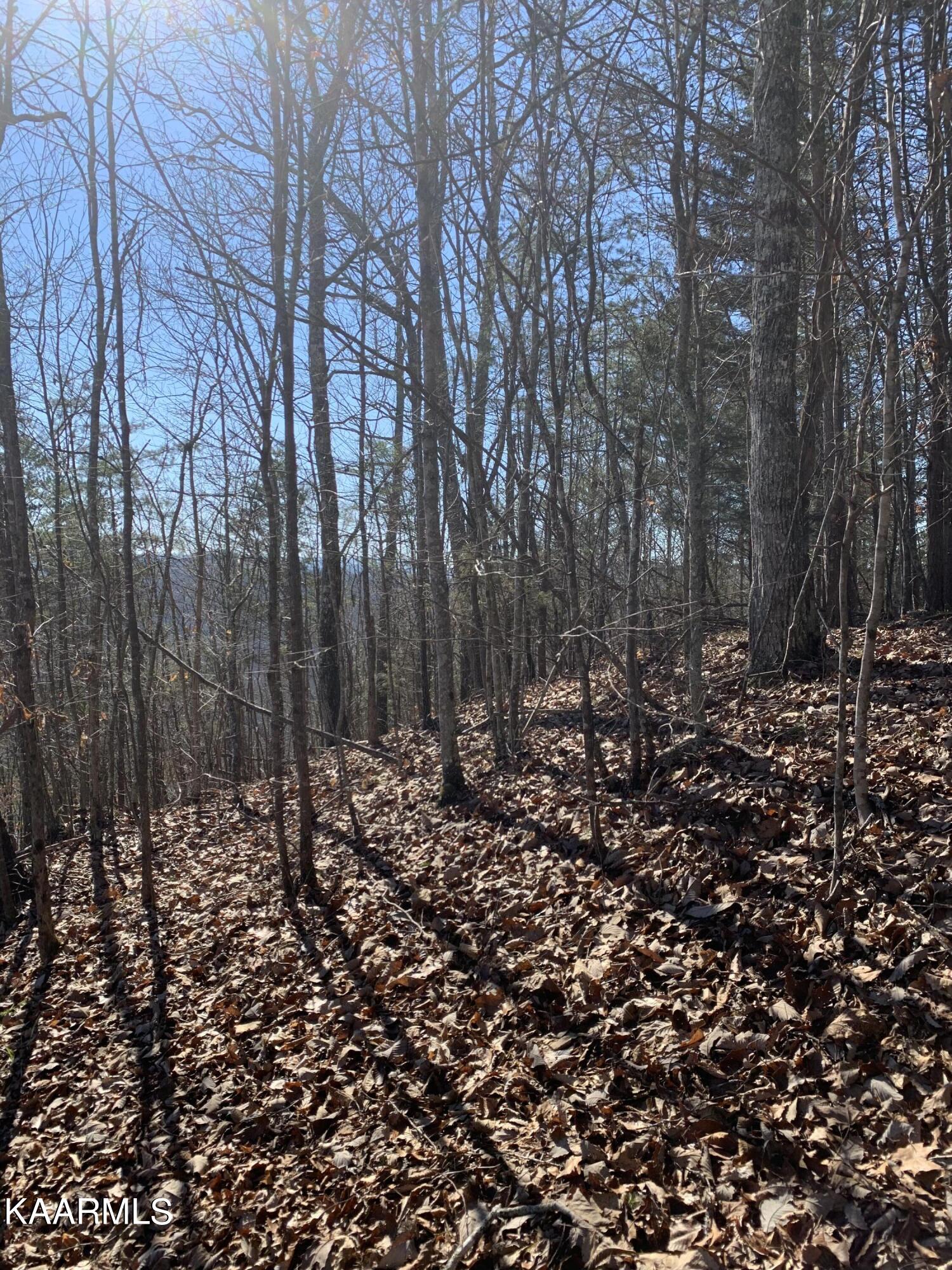 Lot 83 Ridgecrest Road New Tazewell TN 37825