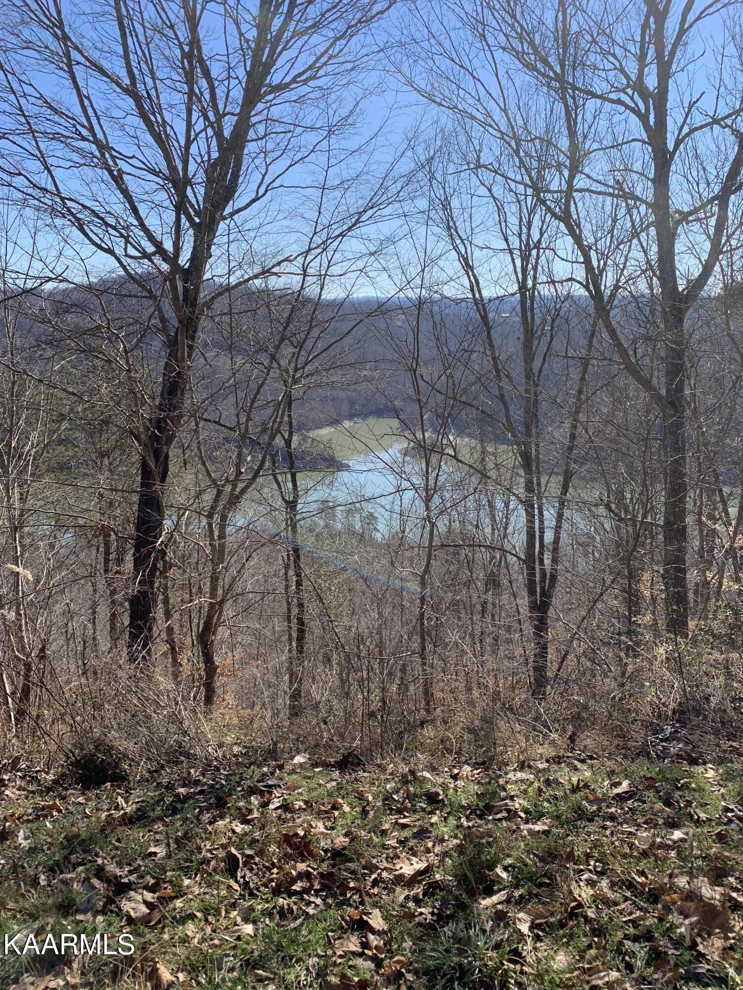 Lot 83 Ridgecrest Road New Tazewell TN 37825