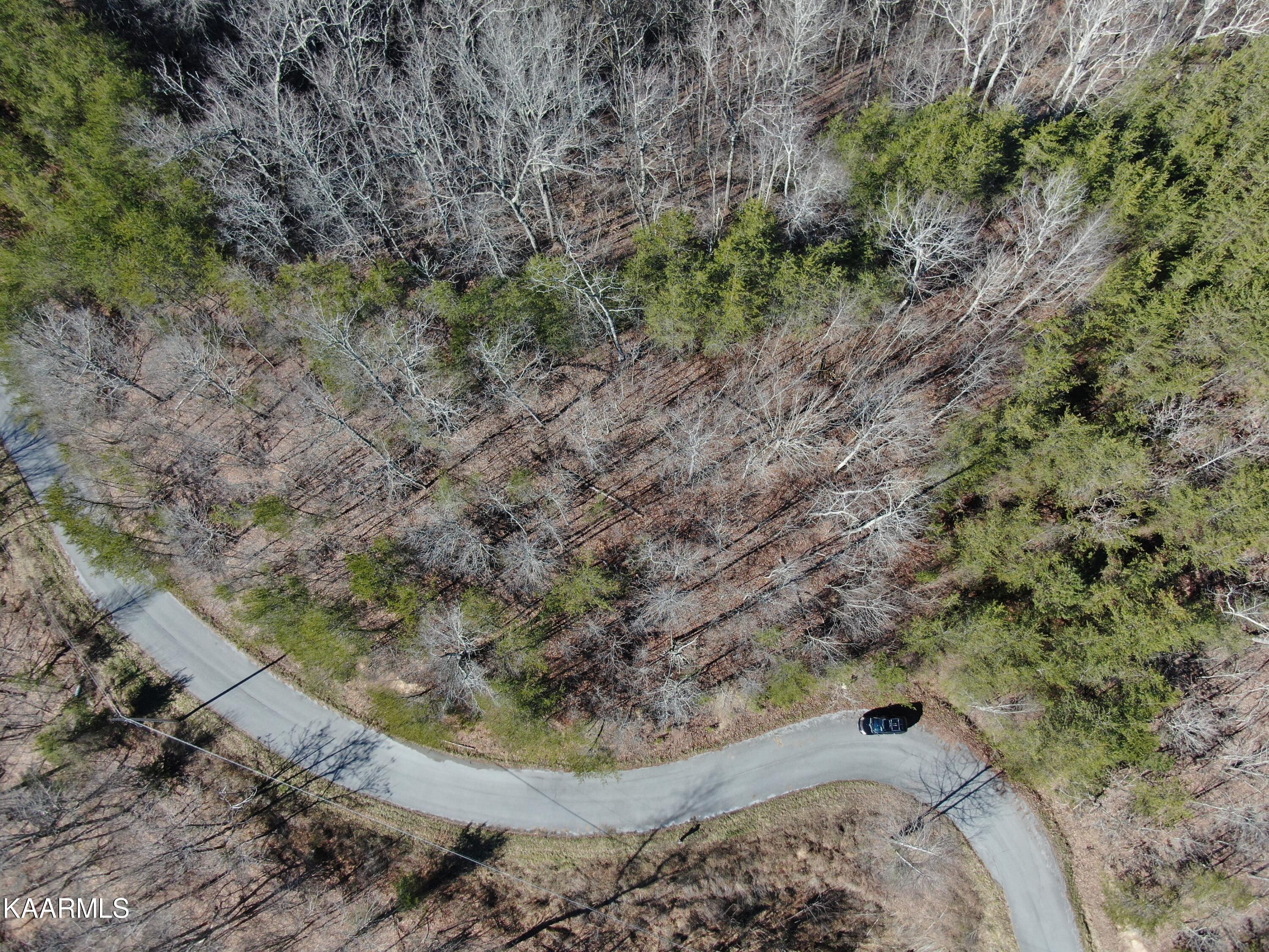 Lot 83 Ridgecrest Road New Tazewell TN 37825