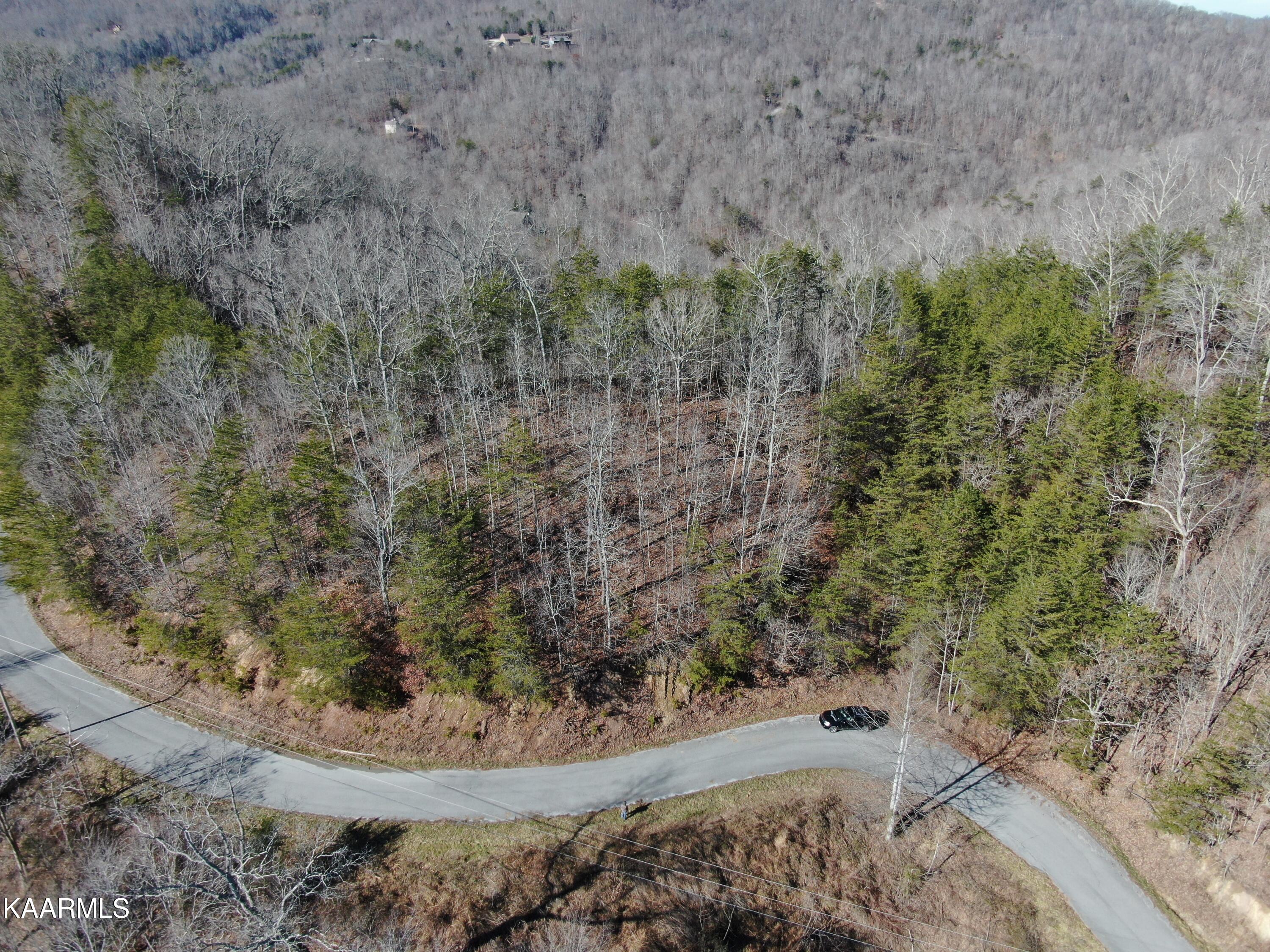Lot 83 Ridgecrest Road New Tazewell TN 37825
