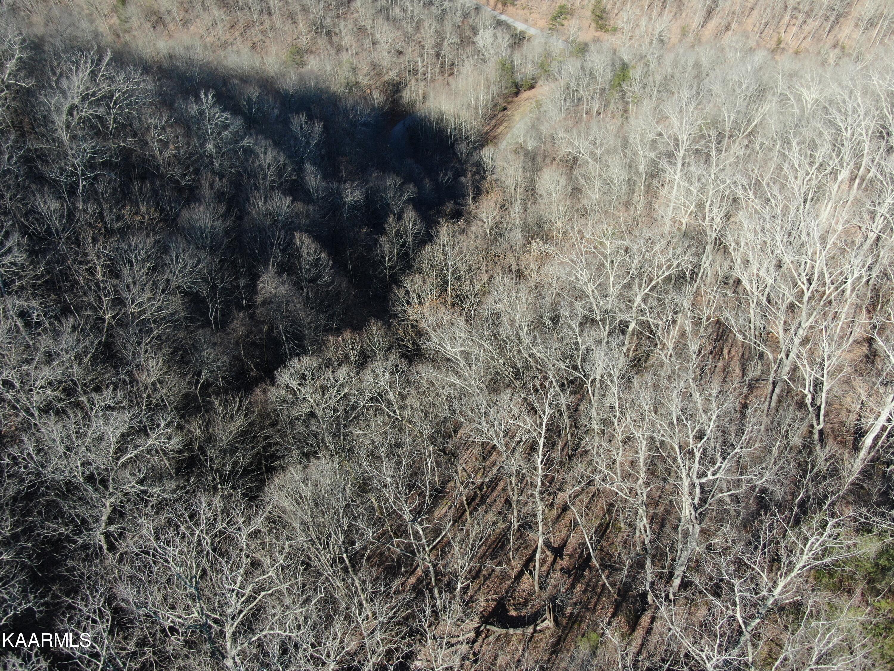 Lot 83 Ridgecrest Road New Tazewell TN 37825
