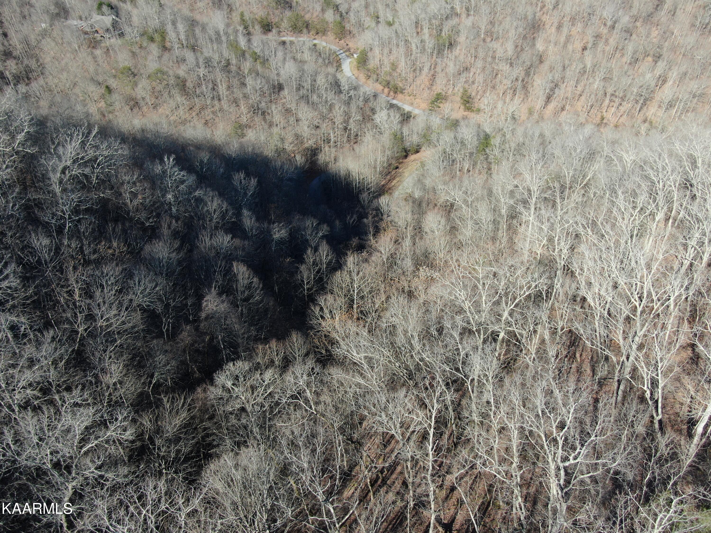 Lot 83 Ridgecrest Road New Tazewell TN 37825