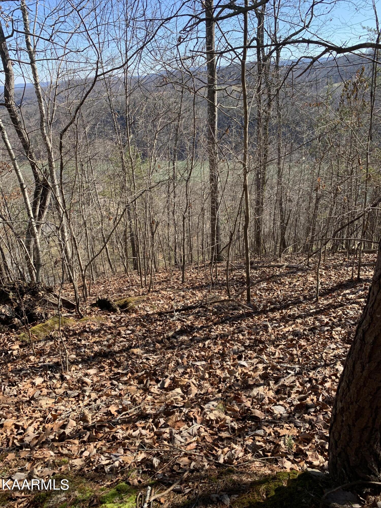Lot 83 Ridgecrest Road New Tazewell TN 37825