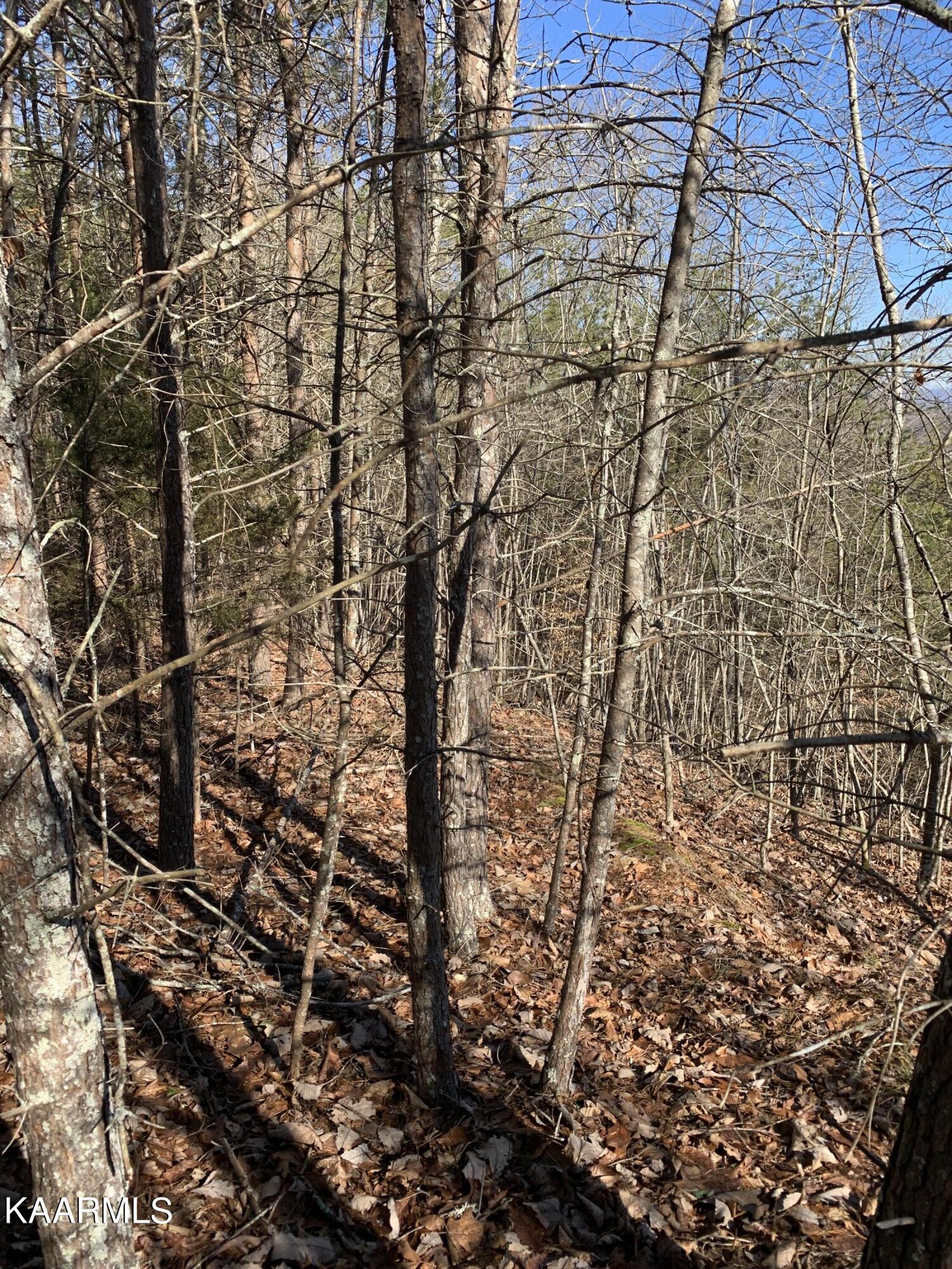 Lot 83 Ridgecrest Road New Tazewell TN 37825