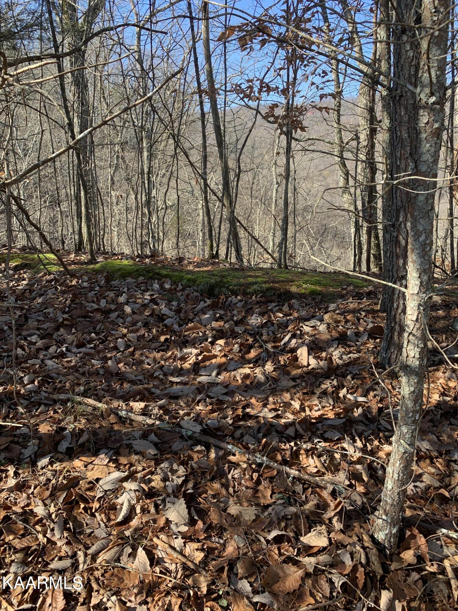 Lot 83 Ridgecrest Road New Tazewell TN 37825