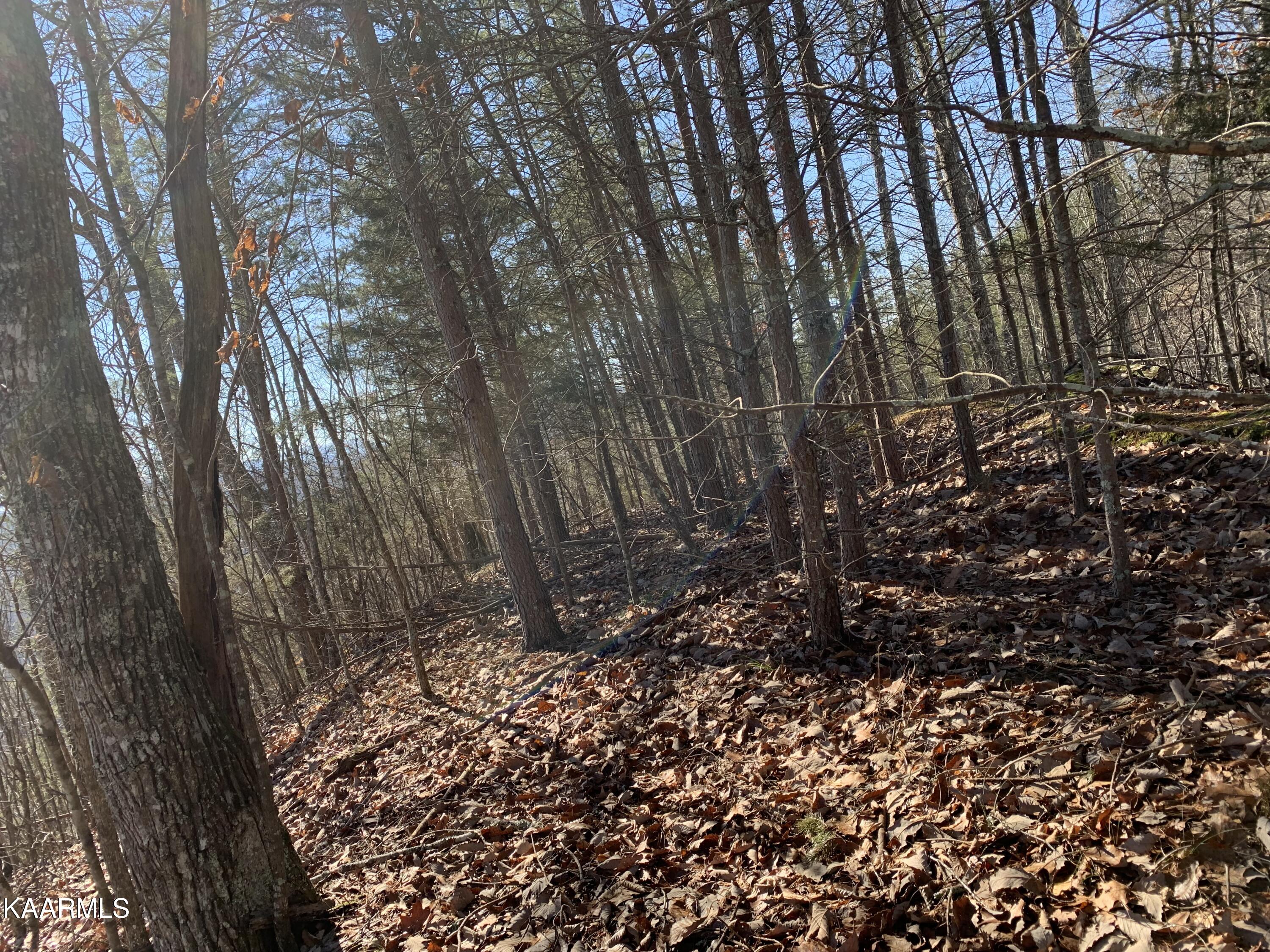 Lot 83 Ridgecrest Road New Tazewell TN 37825
