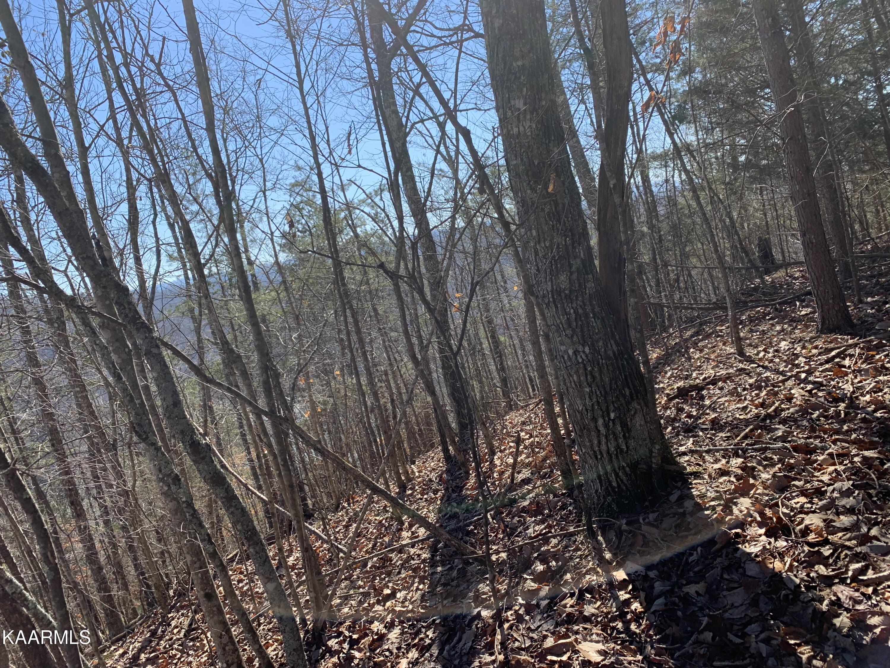 Lot 83 Ridgecrest Road New Tazewell TN 37825
