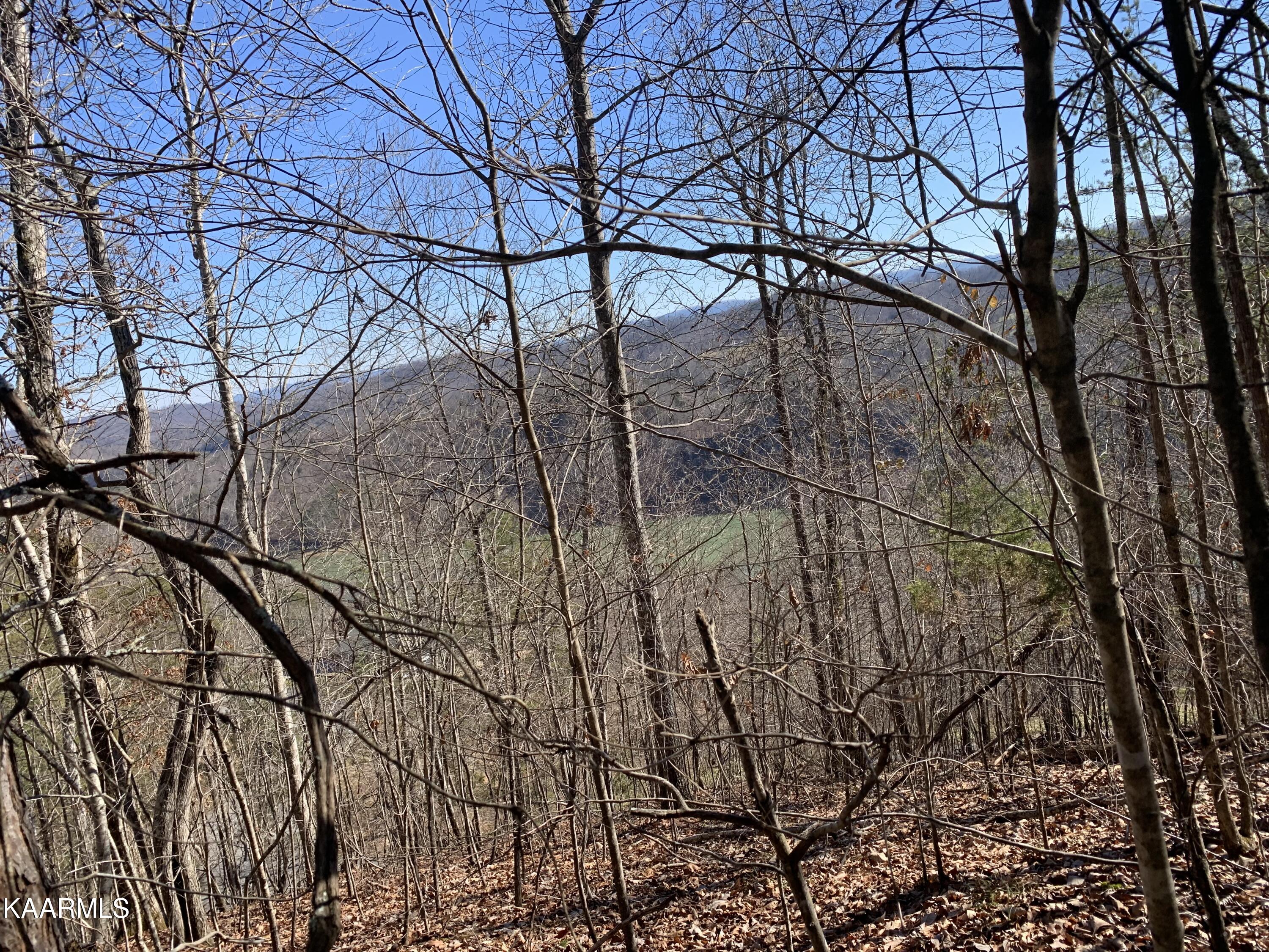 Lot 83 Ridgecrest Road New Tazewell TN 37825