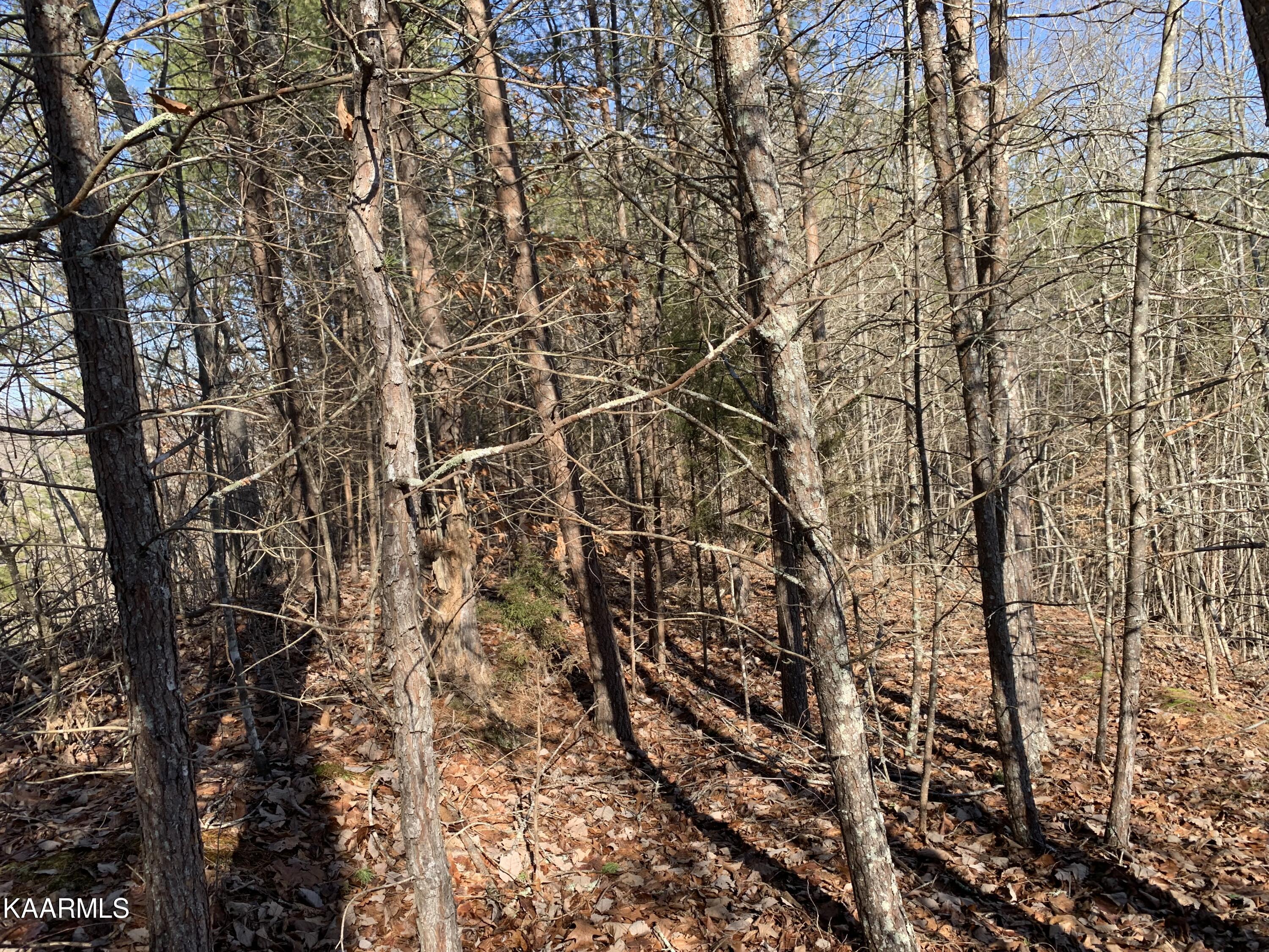 Lot 83 Ridgecrest Road New Tazewell TN 37825