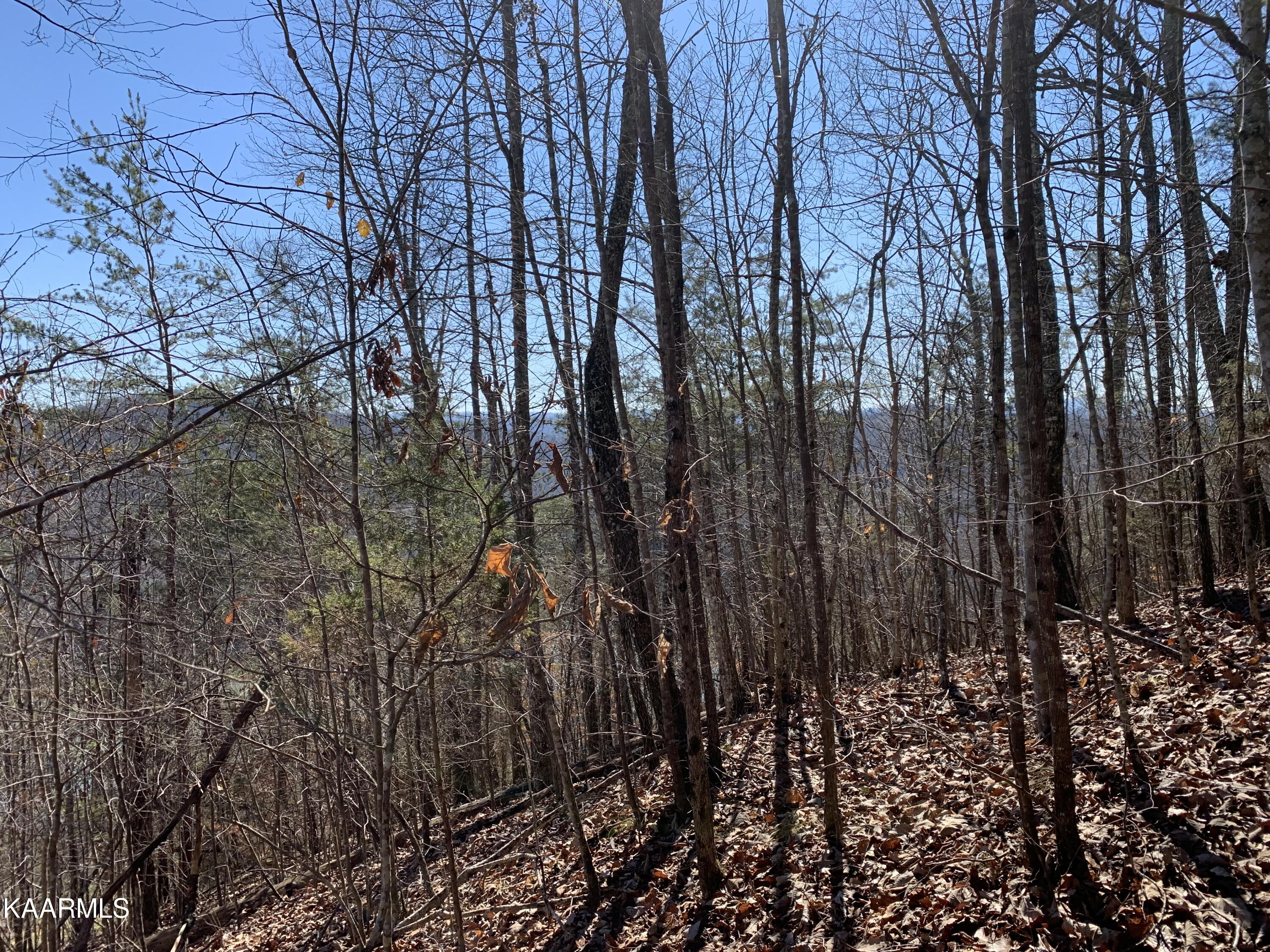 Lot 83 Ridgecrest Road New Tazewell TN 37825