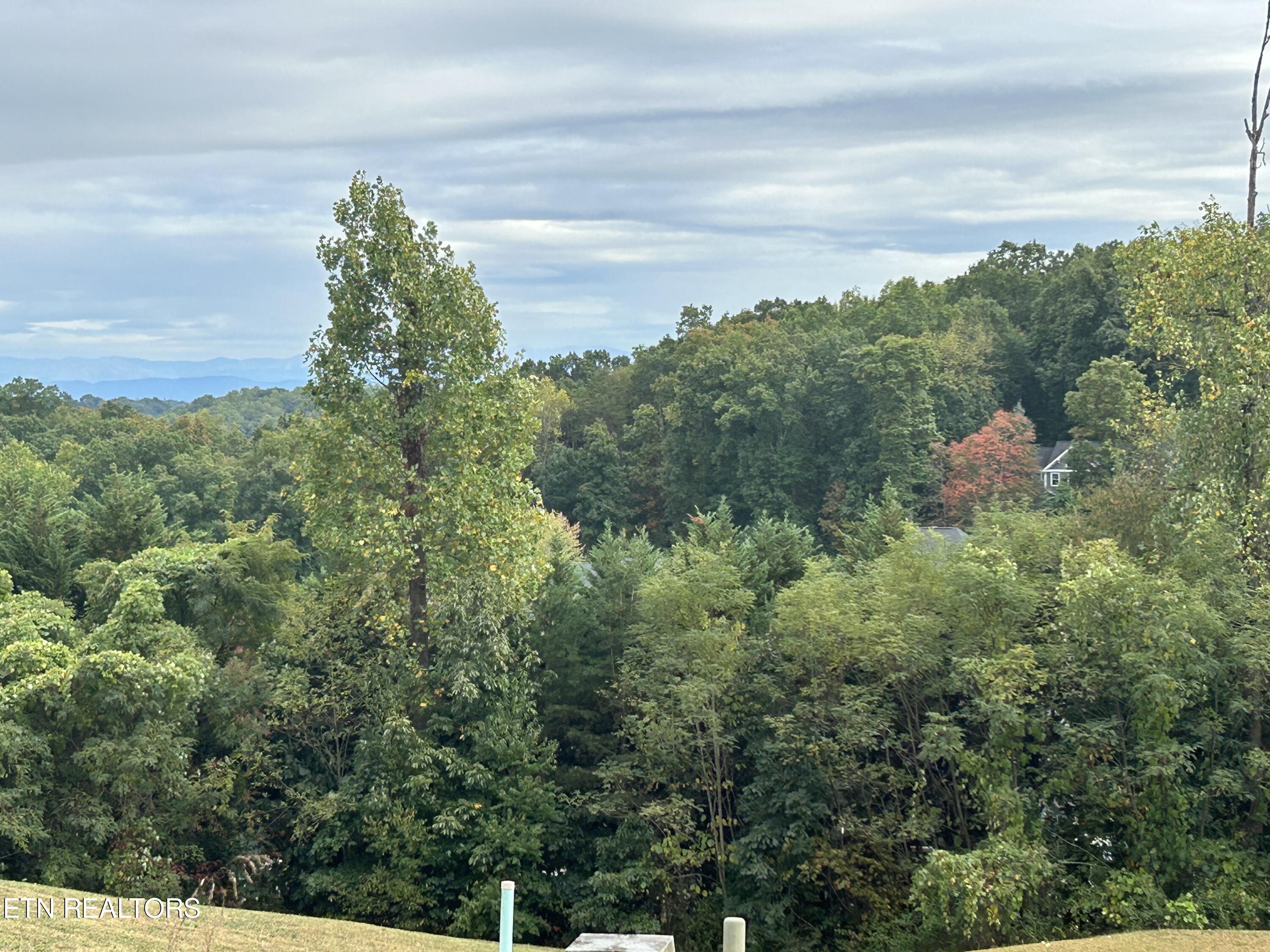 430 Laurel Ridge Lane Knoxville TN 37922
