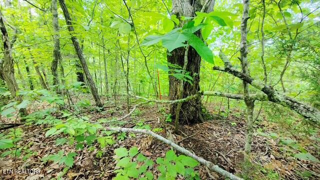 0 Paradise Ridge Drive Sevierville TN 37862