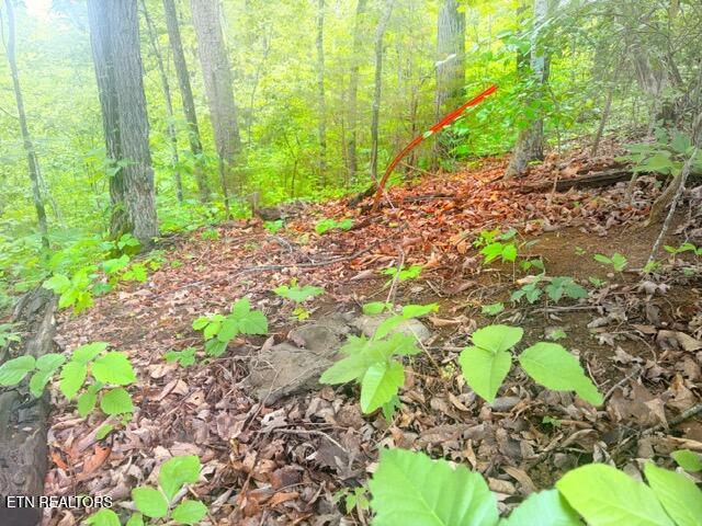 0 Paradise Ridge Drive Sevierville TN 37862