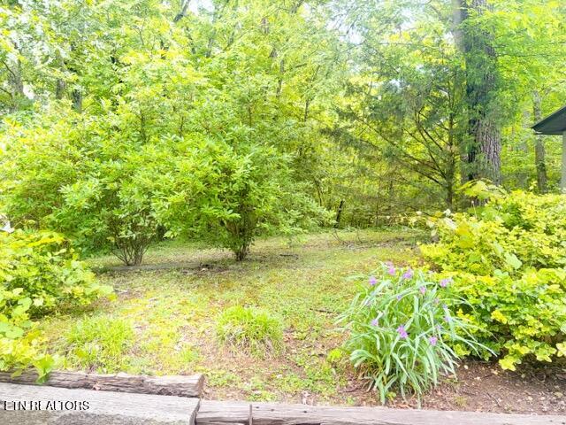 0 Paradise Ridge Drive Sevierville TN 37862