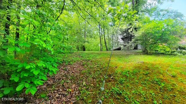 0 Paradise Ridge Drive Sevierville TN 37862