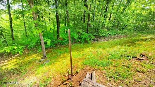 0 Paradise Ridge Drive Sevierville TN 37862