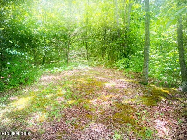 0 Paradise Ridge Drive Sevierville TN 37862