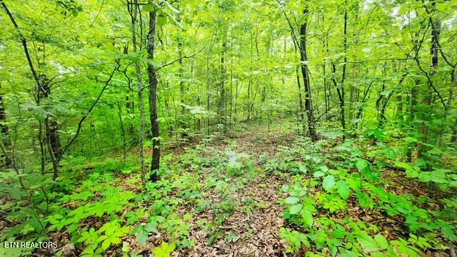 0 Paradise Ridge Drive Sevierville TN 37862