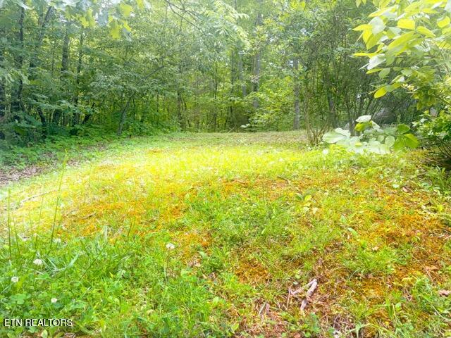 0 Paradise Ridge Drive Sevierville TN 37862