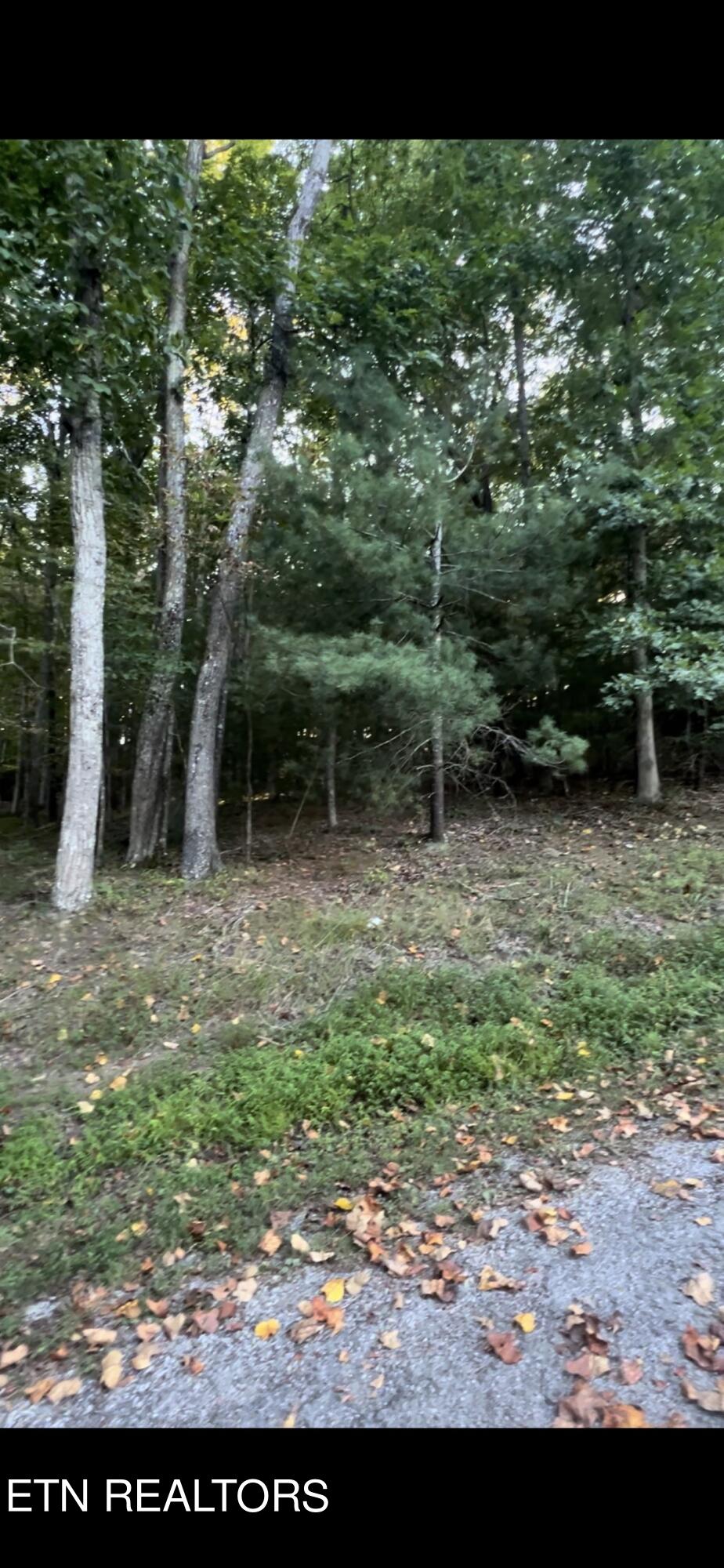 163 Lynhurst Drive Crossville TN 38558